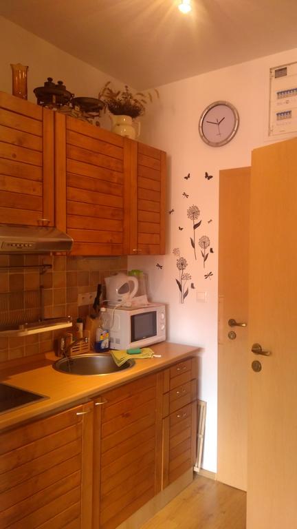 Fatrapark 1 U Sovicky Studio, Kuchynka, Kupelna,S Balkonom Gratis Parkovanie V Podzemnej Garazi Ruzomberok Luaran gambar